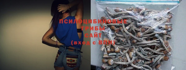 каннабис Арсеньев