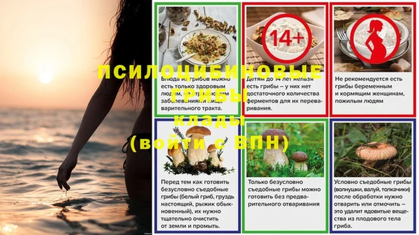 шишки Аркадак