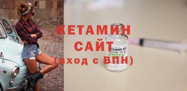 шишки Аркадак