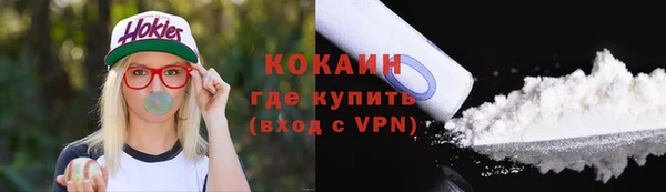 шишки Аркадак