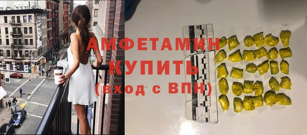 шишки Аркадак