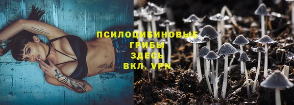шишки Аркадак