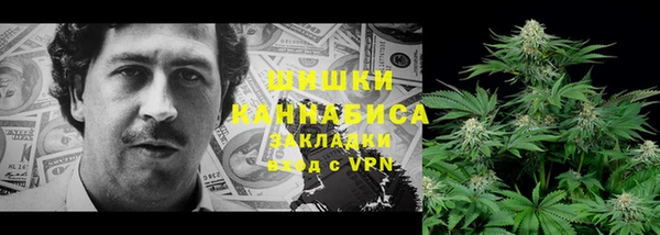 шишки Аркадак