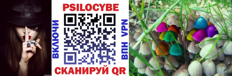 Псилоцибиновые грибы GOLDEN TEACHER  Купить  Невельск 